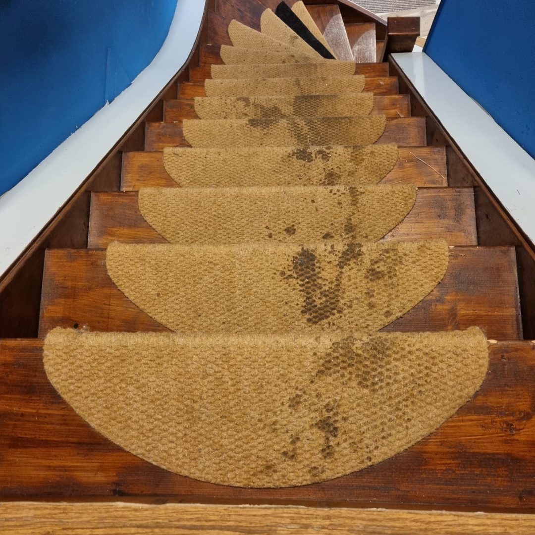 Afbeelding van WhatsApp op 2023-07-31 om 10.37.21